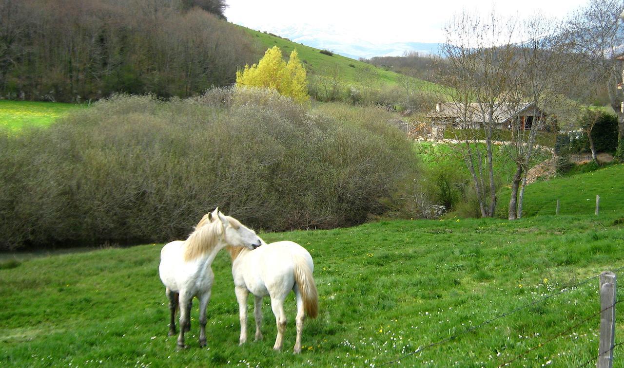 Alojamiento Rural Las Indianas Villar  Exteriér fotografie